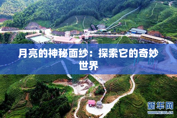 月亮的神秘面纱：探索它的奇妙世界