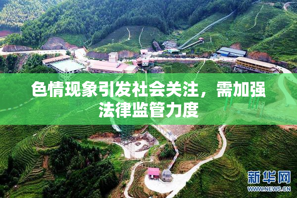 色情现象引发社会关注，需加强法律监管力度