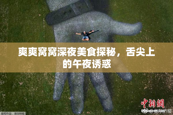爽爽窝窝深夜美食探秘，舌尖上的午夜诱惑
