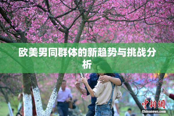 欧美男同群体的新趋势与挑战分析