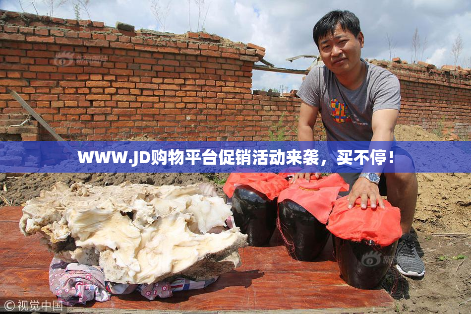 WWW.JD购物平台促销活动来袭，买不停！
