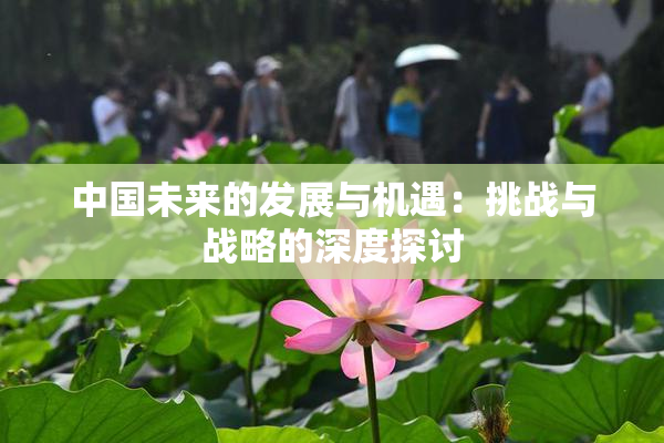 中国未来的发展与机遇：挑战与战略的深度探讨