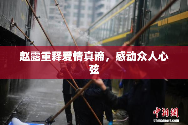 赵露重释爱情真谛，感动众人心弦