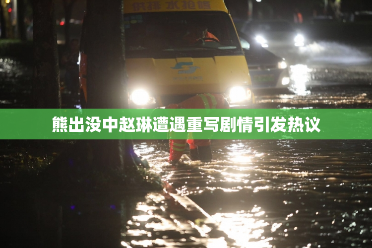 熊出没中赵琳遭遇重写剧情引发热议