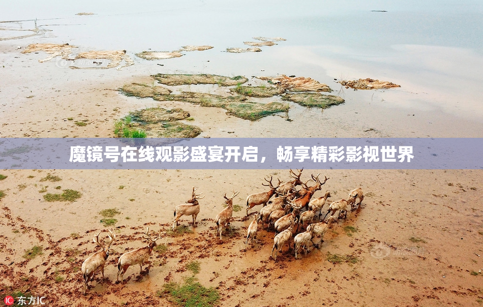 魔镜号在线观影盛宴开启，畅享精彩影视世界