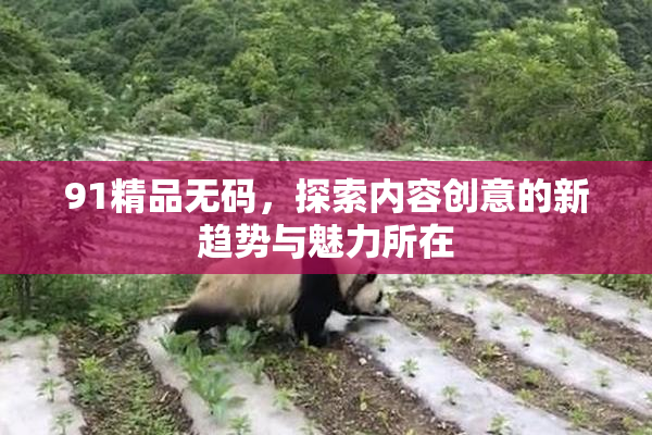 91精品无码，探索内容创意的新趋势与魅力所在