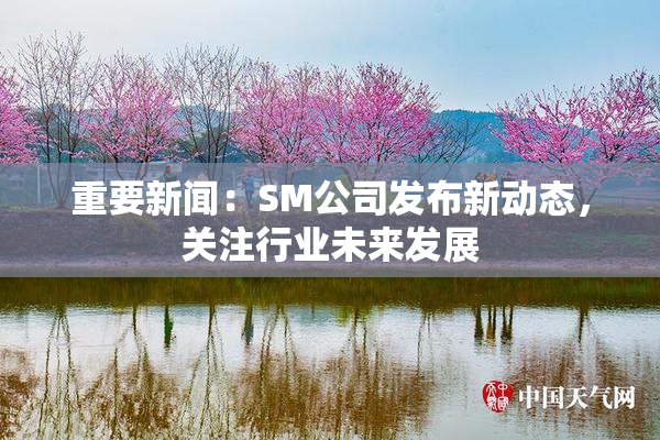 重要新闻：SM公司发布新动态，关注行业未来发展