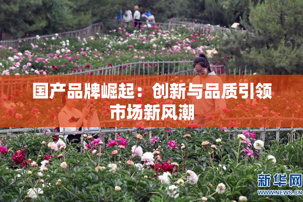 国产品牌崛起：创新与品质引领市场新风潮
