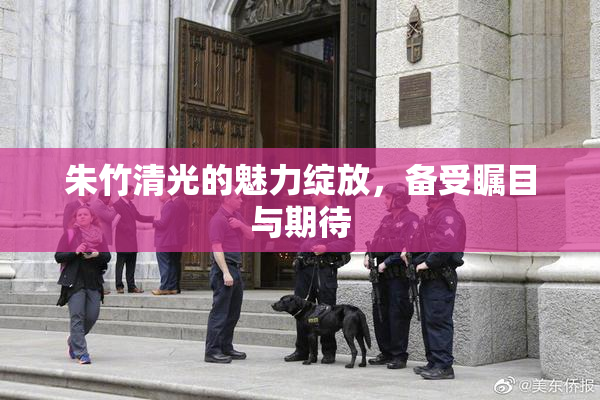 朱竹清光的魅力绽放，备受瞩目与期待