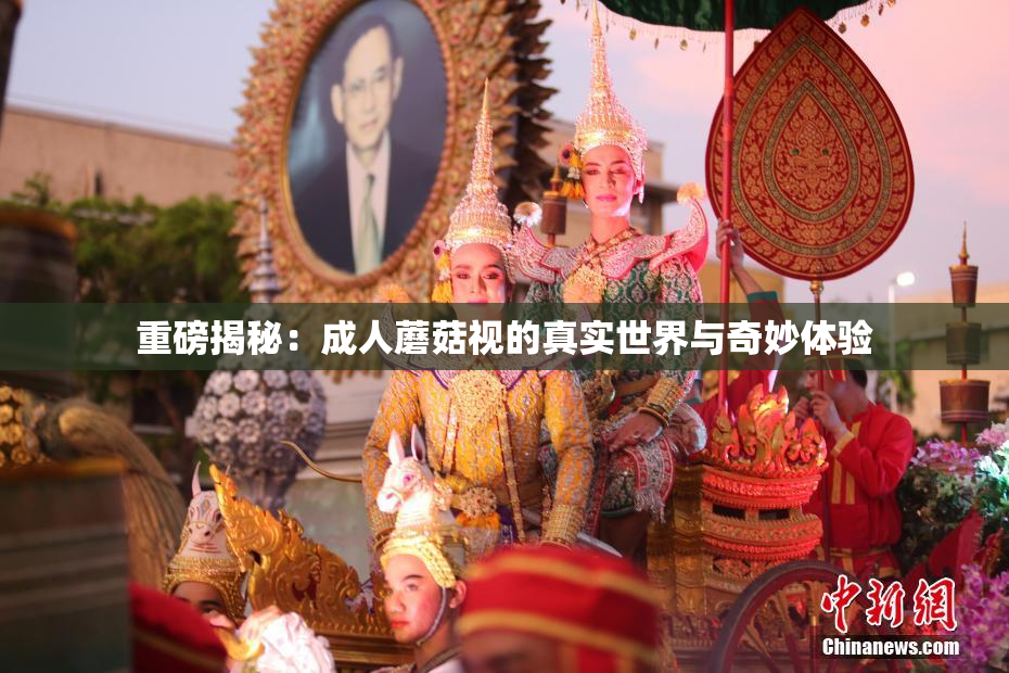 重磅揭秘：成人蘑菇视的真实世界与奇妙体验