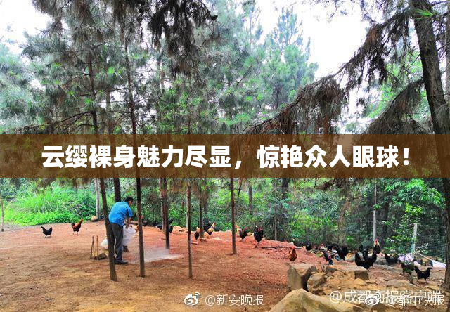 云缨裸身魅力尽显，惊艳众人眼球！