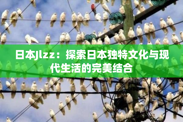 日本Jlzz：探索日本独特文化与现代生活的完美结合