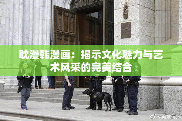 耽漫韩漫画：揭示文化魅力与艺术风采的完美结合