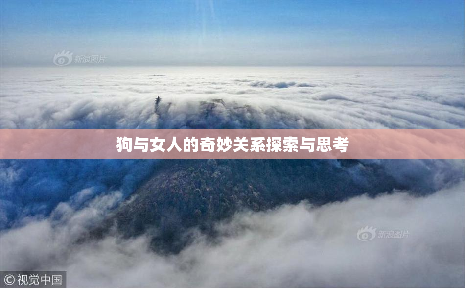 狗与女人的奇妙关系探索与思考