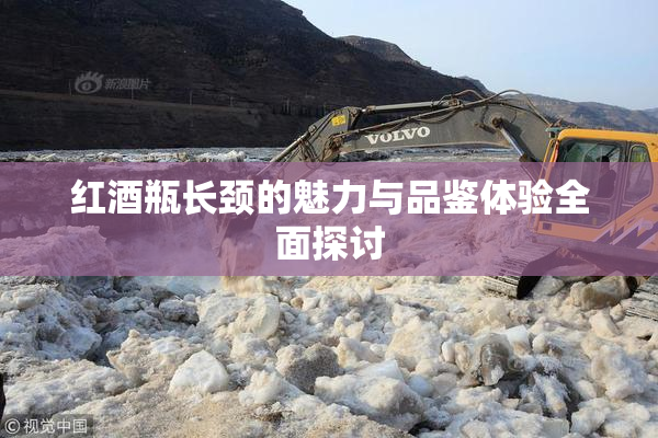 红酒瓶长颈的魅力与品鉴体验全面探讨