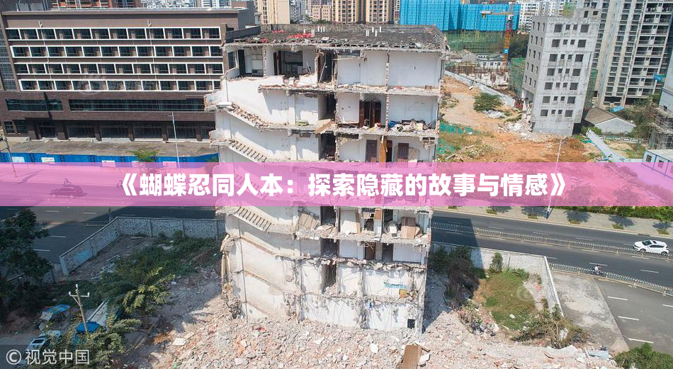 《蝴蝶忍同人本：探索隐藏的故事与情感》