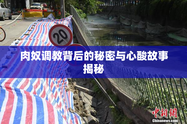 肉奴调教背后的秘密与心酸故事揭秘