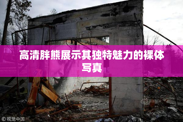 高清胖熊展示其独特魅力的裸体写真