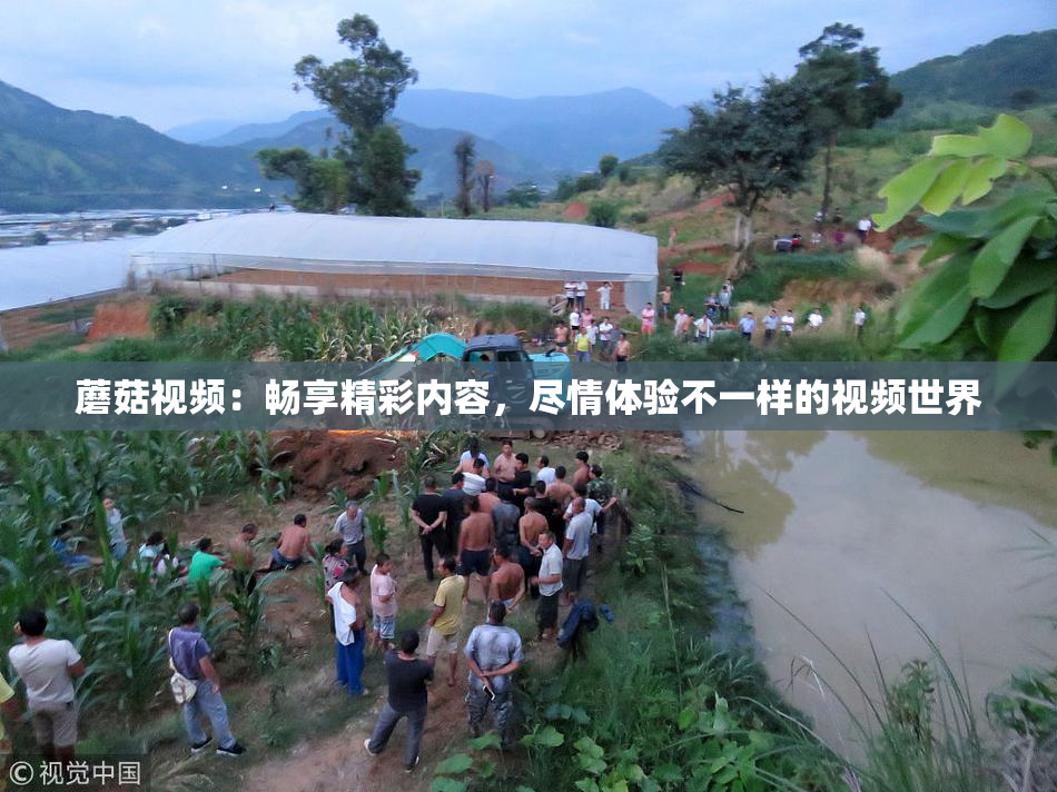 蘑菇视频：畅享精彩内容，尽情体验不一样的视频世界