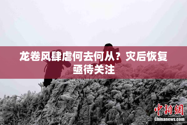 龙卷风肆虐何去何从？灾后恢复亟待关注