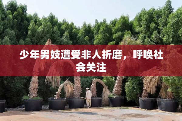 少年男妓遭受非人折磨，呼唤社会关注