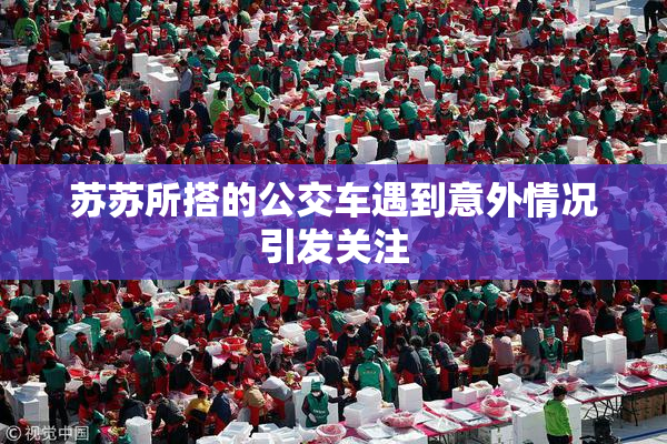 苏苏所搭的公交车遇到意外情况引发关注