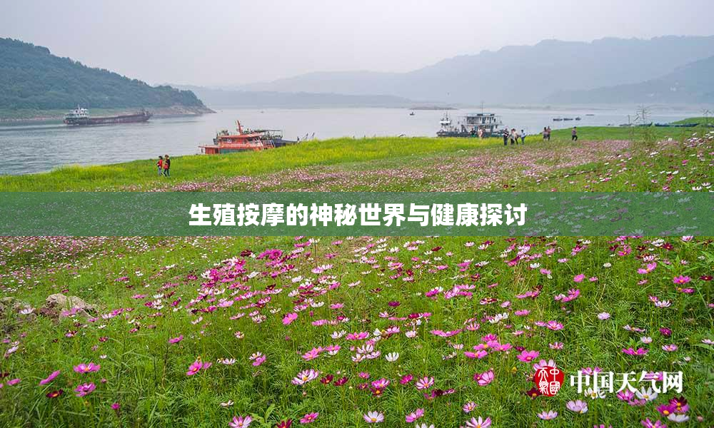 生殖按摩的神秘世界与健康探讨
