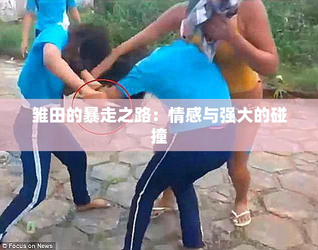 雏田的暴走之路：情感与强大的碰撞