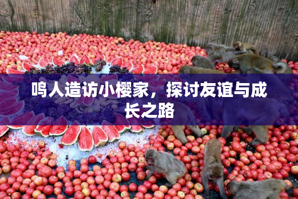 鸣人造访小樱家，探讨友谊与成长之路