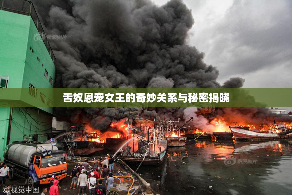 舌奴恩宠女王的奇妙关系与秘密揭晓