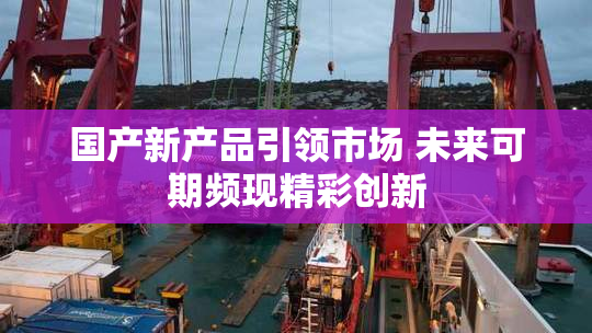 国产新产品引领市场 未来可期频现精彩创新