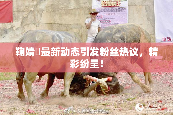 鞠婧祎最新动态引发粉丝热议，精彩纷呈！