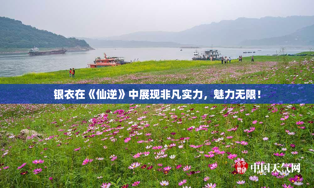 银衣在《仙逆》中展现非凡实力，魅力无限！