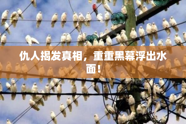 仇人揭发真相，重重黑幕浮出水面！