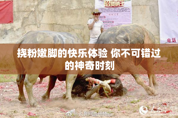 挠粉嫩脚的快乐体验 你不可错过的神奇时刻