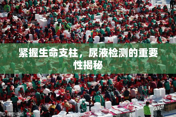 紧握生命支柱，尿液检测的重要性揭秘