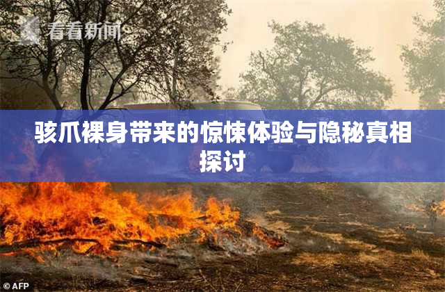 骇爪裸身带来的惊悚体验与隐秘真相探讨