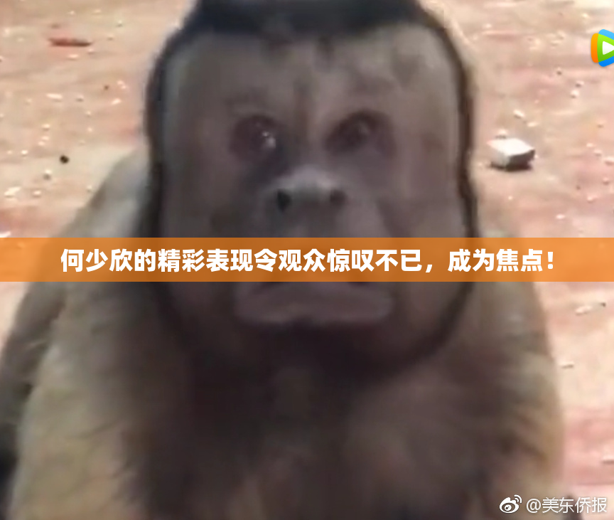 何少欣的精彩表现令观众惊叹不已，成为焦点！