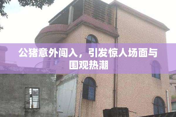公猪意外闯入，引发惊人场面与围观热潮