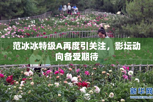 范冰冰特级A再度引关注，影坛动向备受期待