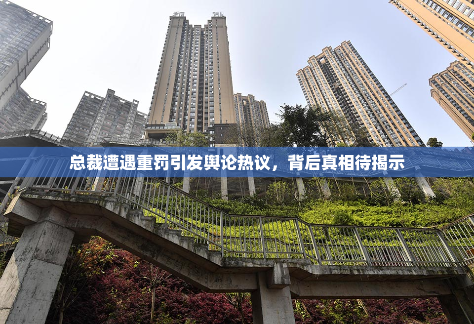 总裁遭遇重罚引发舆论热议，背后真相待揭示