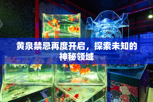 黄泉禁忌再度开启，探索未知的神秘领域