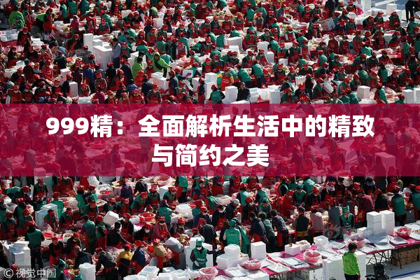 999精：全面解析生活中的精致与简约之美