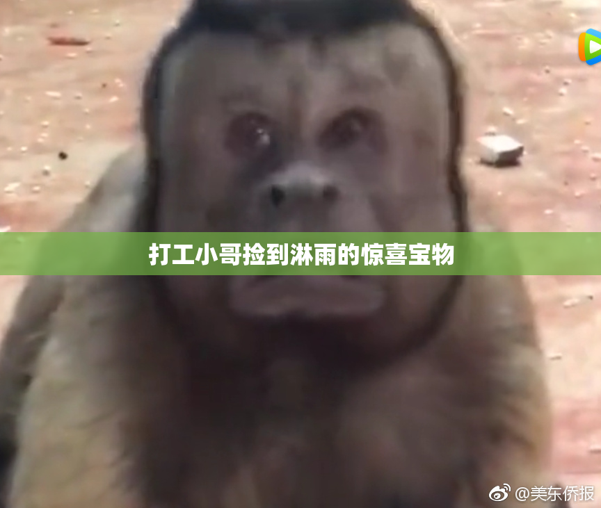 打工小哥捡到淋雨的惊喜宝物