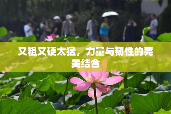 又粗又硬太猛，力量与韧性的完美结合