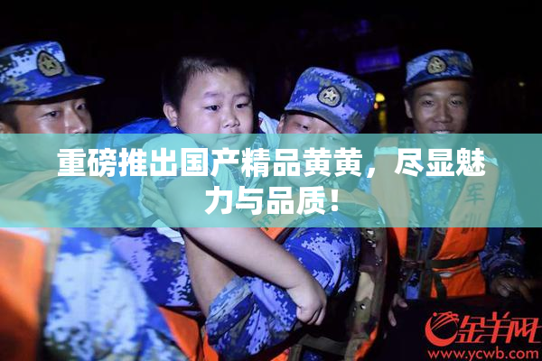 重磅推出国产精品黄黄，尽显魅力与品质！