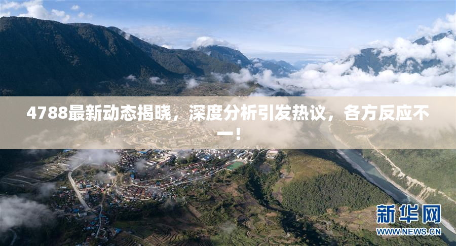 4788最新动态揭晓，深度分析引发热议，各方反应不一！