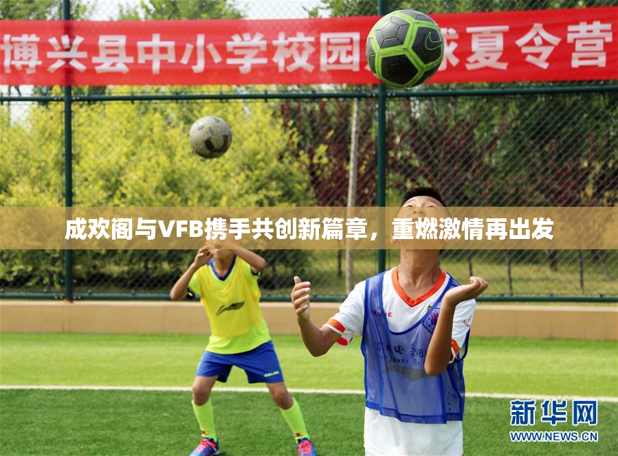 成欢阁与VFB携手共创新篇章，重燃激情再出发