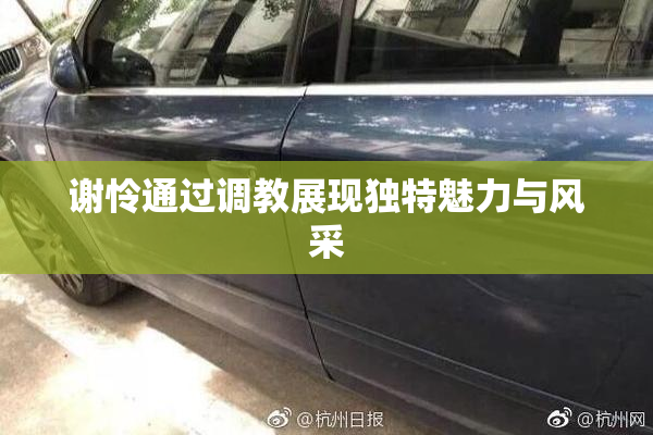 谢怜通过调教展现独特魅力与风采