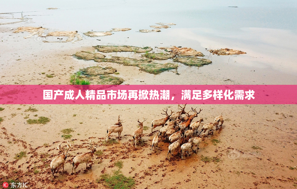 国产成人精品市场再掀热潮，满足多样化需求